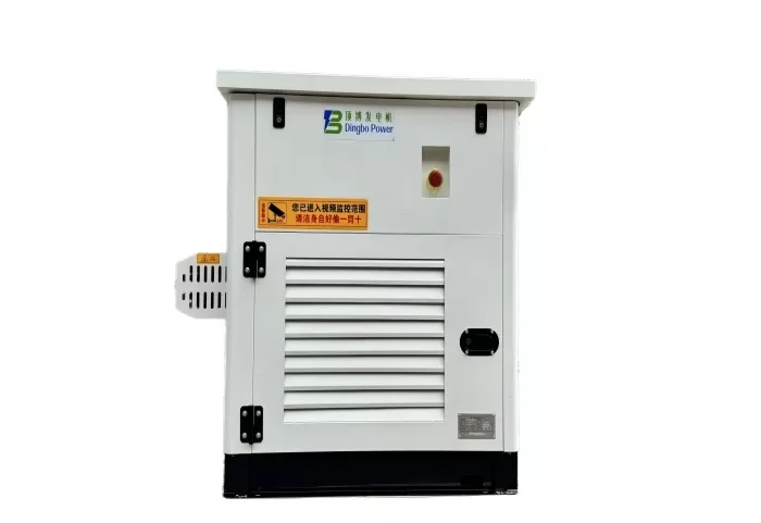 100A 48V Diesel Engine Powered DC Generator