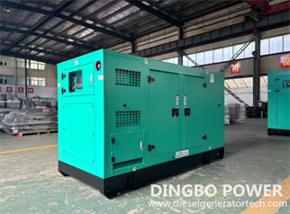 Six 50kW Diesel Generators Solve the Electricity Problem of Polish Farmers