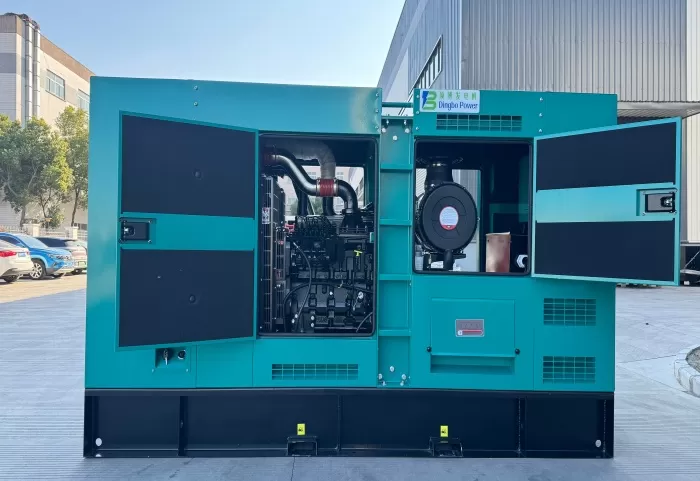 Dingbo 250kW 313kVA Silent Diesel Generator