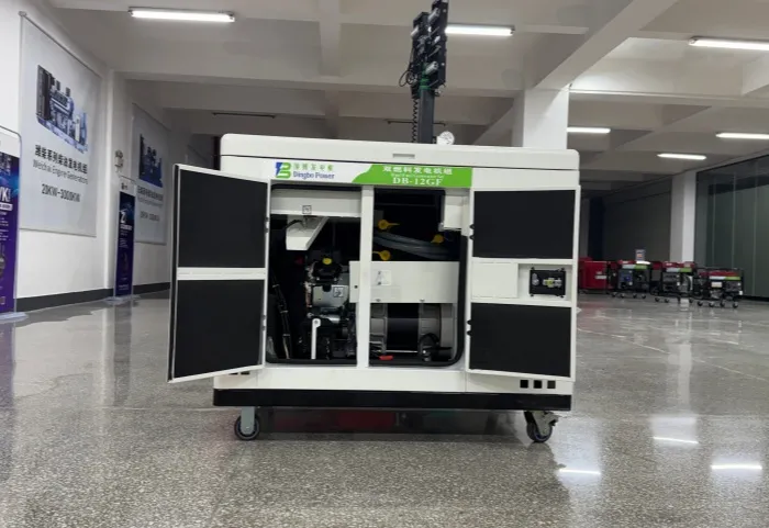 12KW 15kVA Silent Gasoline and NG Generator