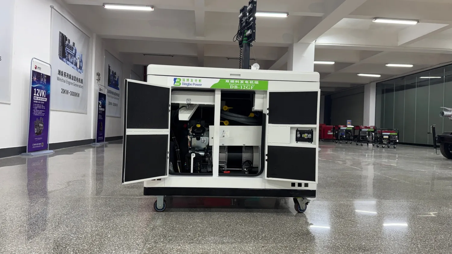 12KW 15kVA Silent Gasoline and NG Generator
