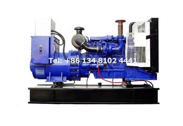 Perkins Diesel Generator