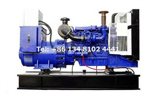 Perkins Diesel Generator