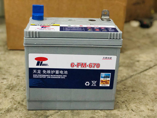 Maintenance free battery for genset