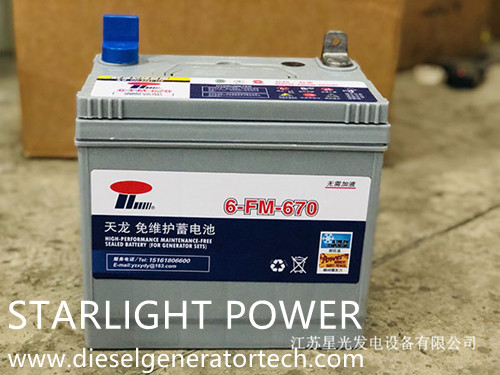 Diesel generator battery.jpg