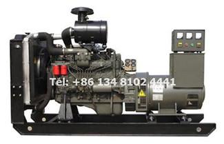 The Requirements for Ricardo Series Diesel Generator in High & Low Temperature