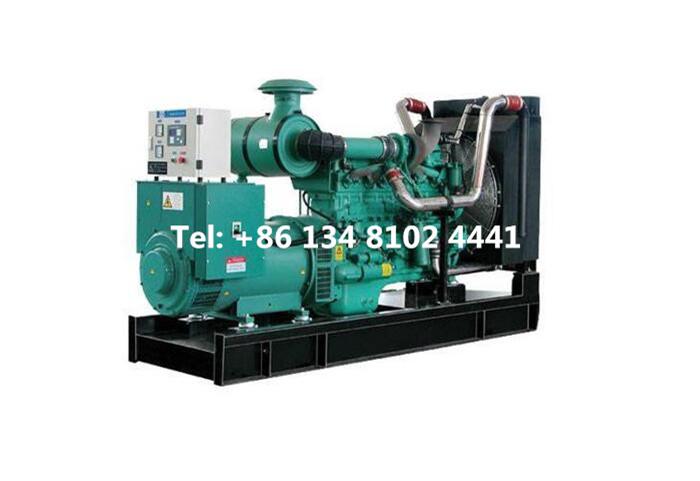 Diesel Generator Development Status: Monopoly, Specialization, Technology