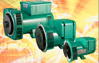 Leroy-Somer Low Voltage Alternators - 4 Pole Installation and Maintenance