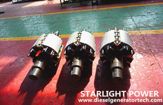 Why Should Choose Full Copper Brushless Generator