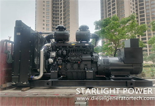 Starlight Power Signed 600KW Shangchai Diesel Generator Set