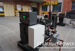 Starlight Power Signed A Total Of 9 Diesel Generator Sets