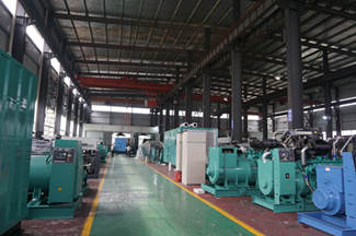 Which Performance of Diesel Generator is More Important