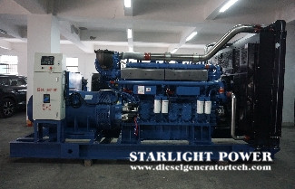 Foreign Trade Customers Visited Starlight Diesel Generator Set