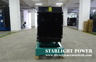 Maintenance of Emergency Diesel Generator Set
