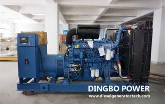 Dingbo Power Won The Bid For 23 Diesel Generator Sets