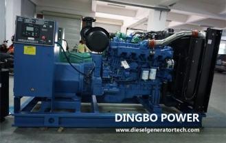 Dingbo Power Signed 400KW Silent Yuchai Generator Set