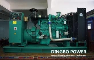 Dingbo Ricardo Diesel Generator Sets Are Favored Overseas