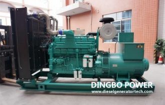Bangladesh Client Firdous Visited Dingbo Power Factory