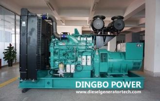 Chongqing Cummins Quality Department Visited The Dingbo Power Generator Set